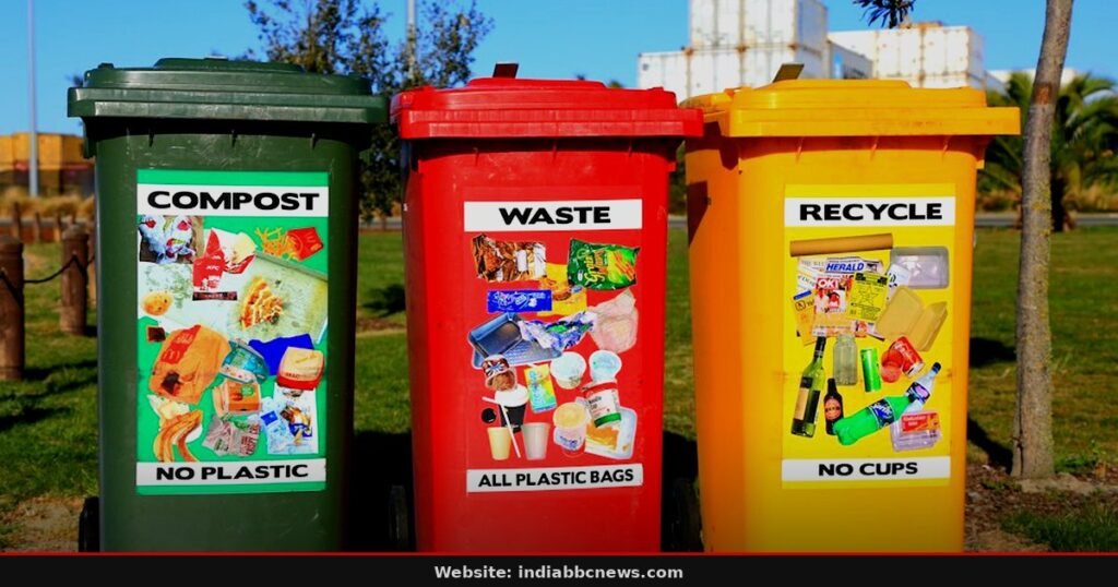 Food Scraps Offer Significant Dietary Fibre Boost