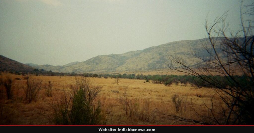 Drone Strikes Kill Fourteen Students In Ethiopia