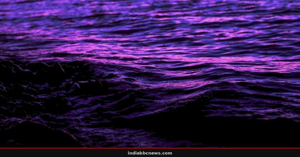Pink Dye Tracked Pollution Movement Off California