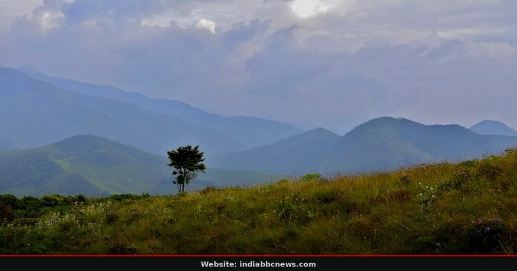 Meeshapulimala Opens for Rare Neelakurinji Bloom