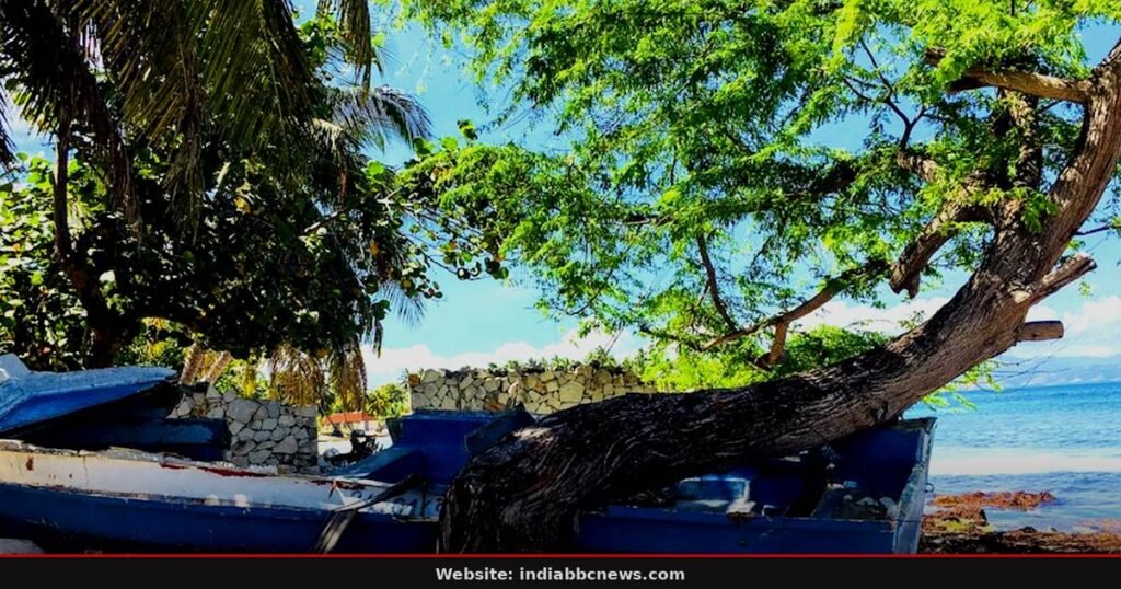 Haiti Remains May Match Missing Salvadoran Troops